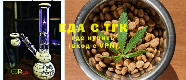 амф Каменка