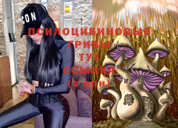 молекула духа Иннополис