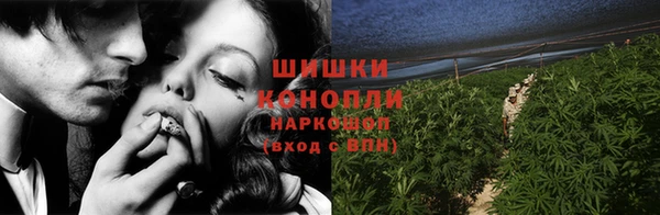 шишки Апатиты