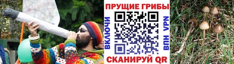 Галлюциногенные грибы GOLDEN TEACHER  Кизилюрт 