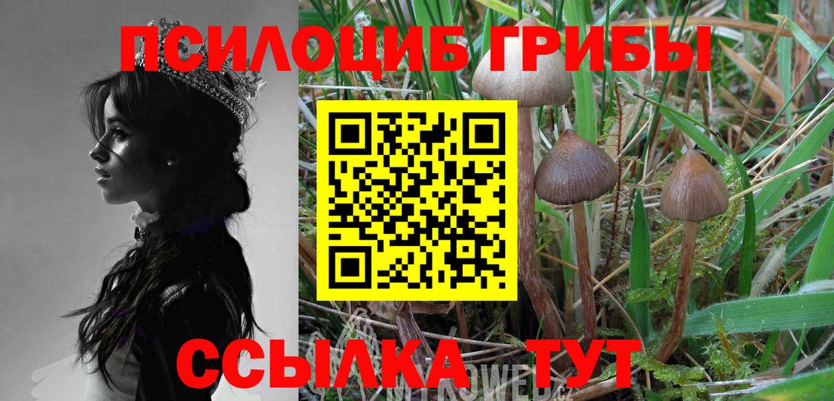 Псилоцибиновые грибы ЛСД Кизилюрт