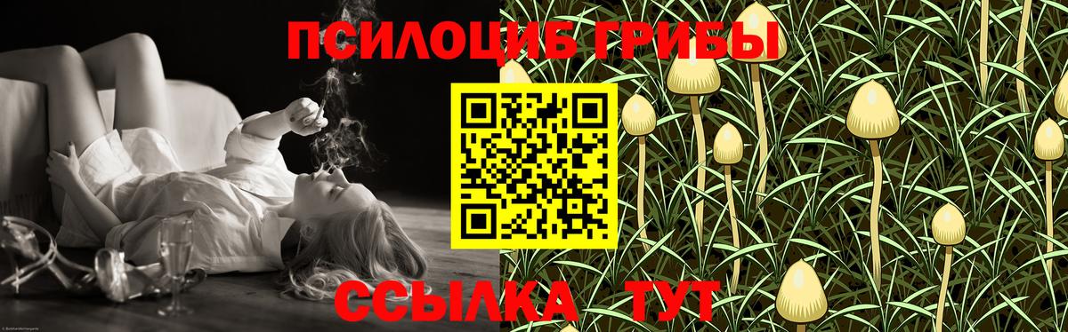 Псилоцибиновые грибы Magic Shrooms  Вход с VPN  Кизилюрт  Галлюциногенные грибы MAGIC MUSHROOMS 