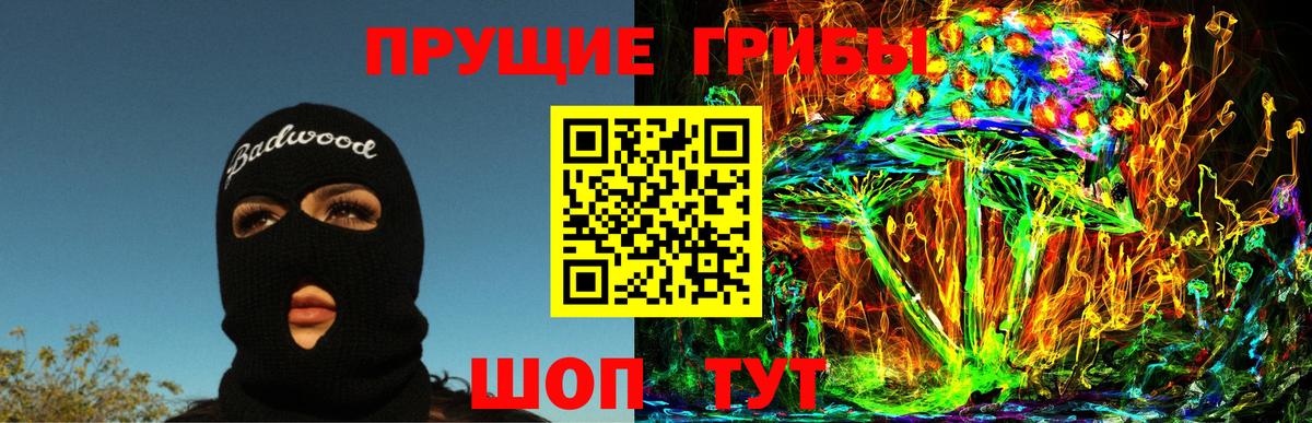 Галлюциногенные грибы Psilocybe Кизилюрт