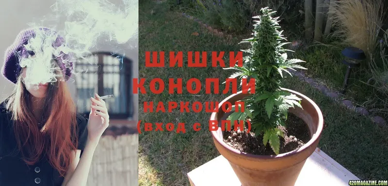 Конопля Ganja  Кизилюрт 